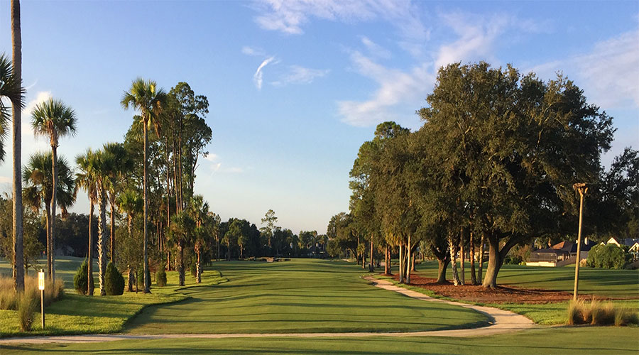 palms and mature trees lining a golf course