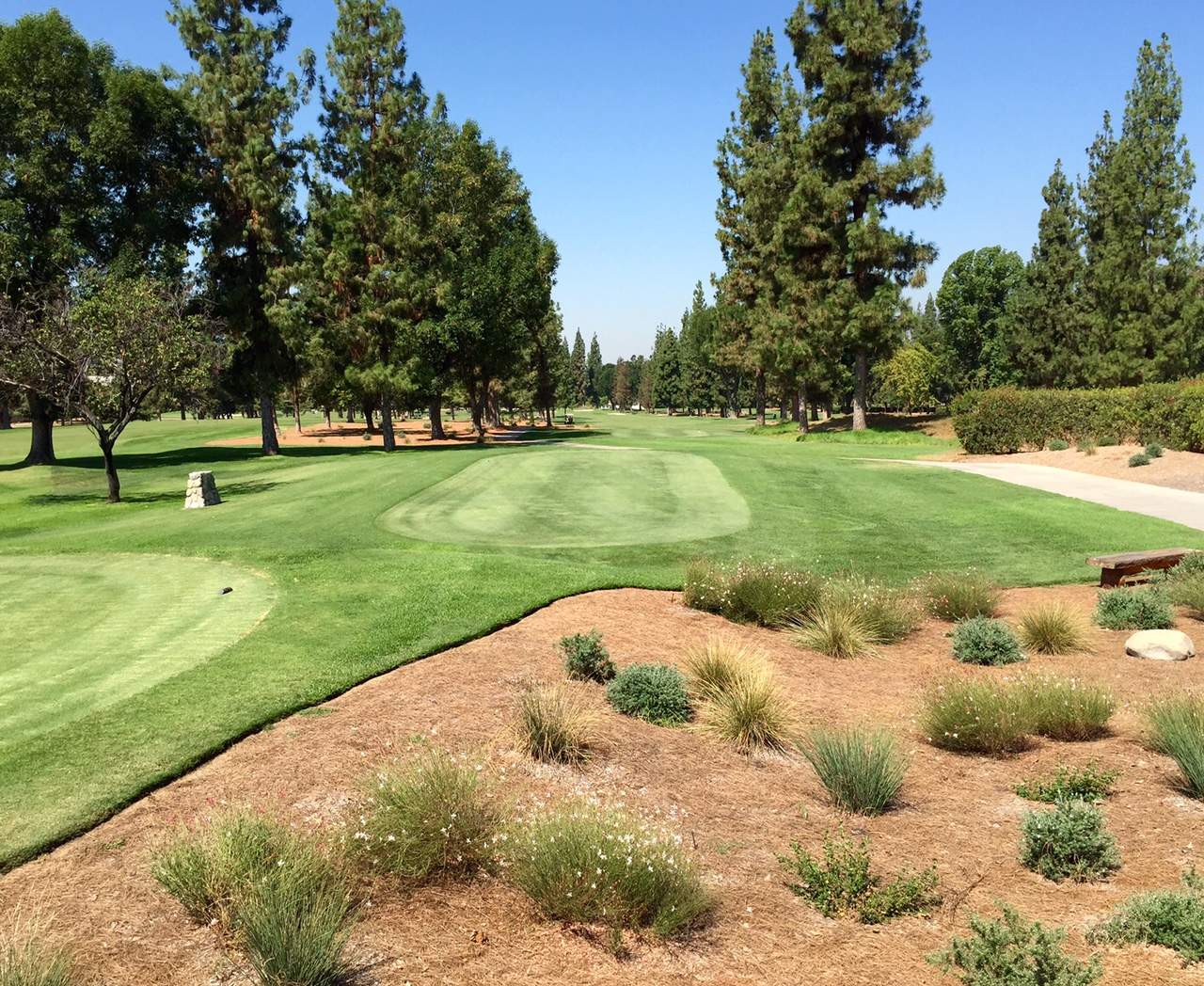 golf course bordered by bed of low-water use plants