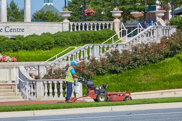 Hartford, CT Landscape Maintenance Services