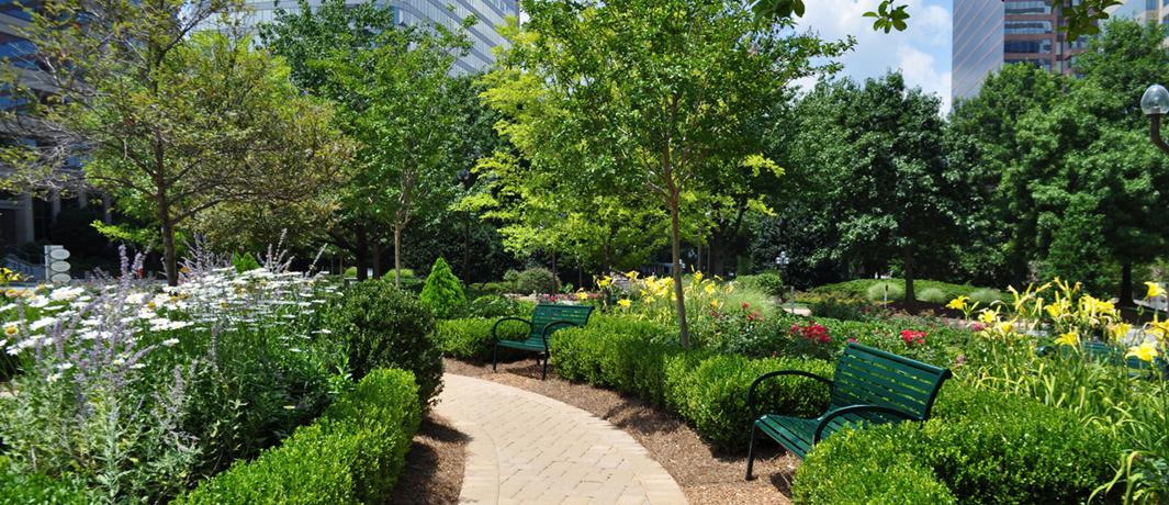 Office Building Landscaping Experts