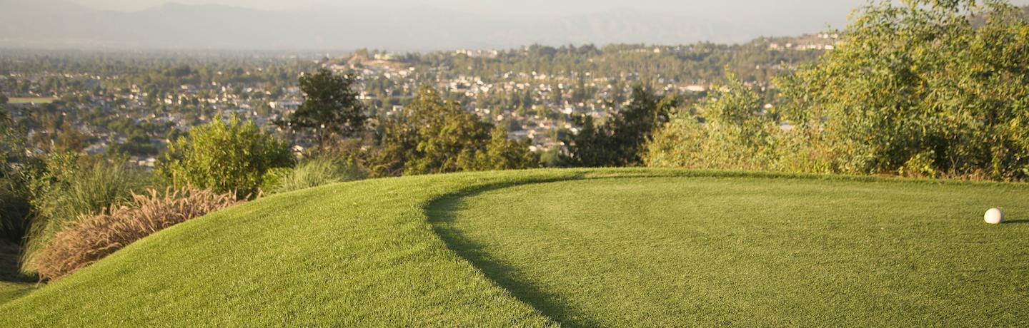 golf ball on the green, overlooking a city view