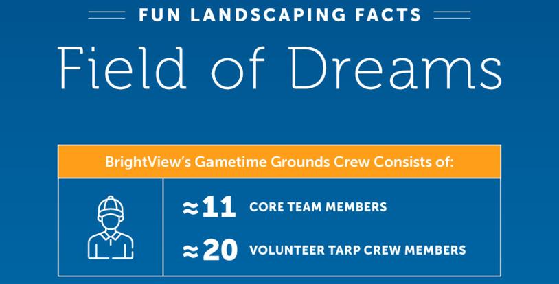 MLB at Field of Dreams BrightView fun facts infographic