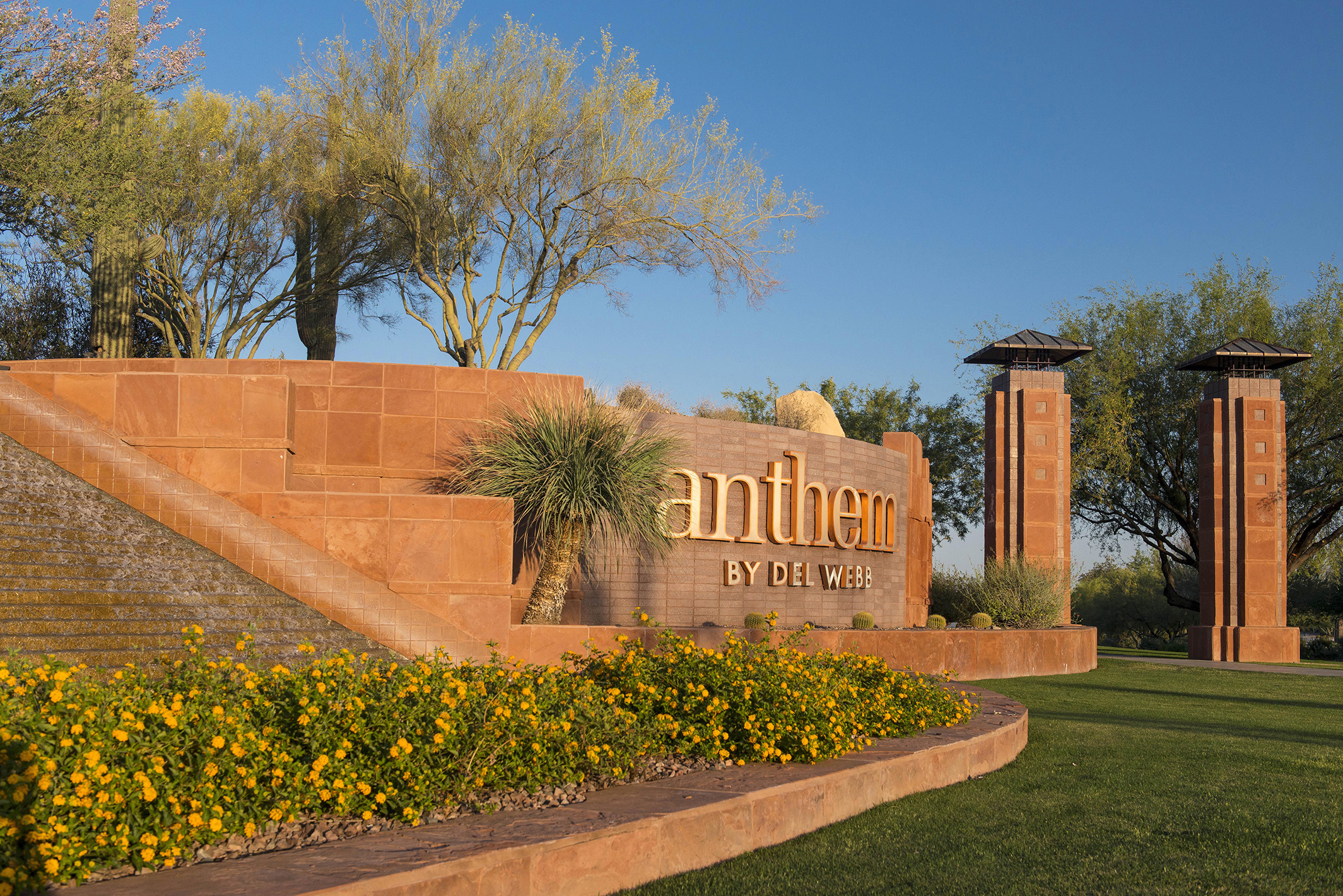 bank of america anthem az