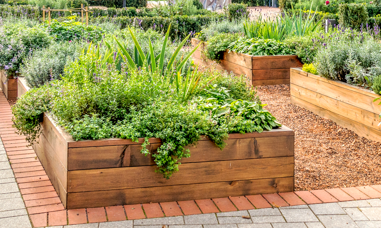 Raised rooftop garden bed