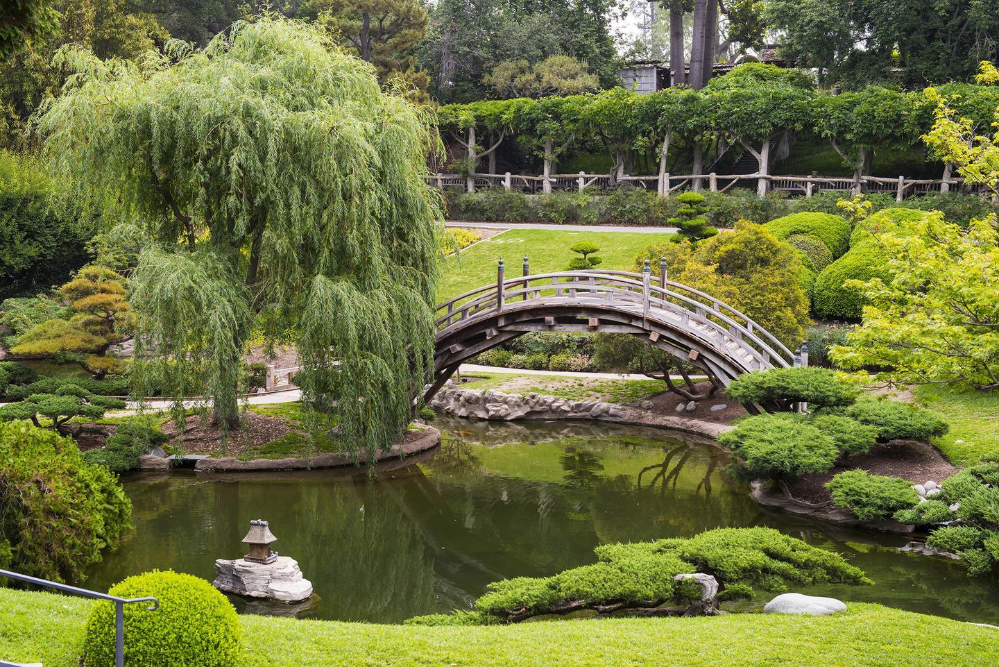 Japanese Gardens at The Huntington Library | Projects & Portfolio ...