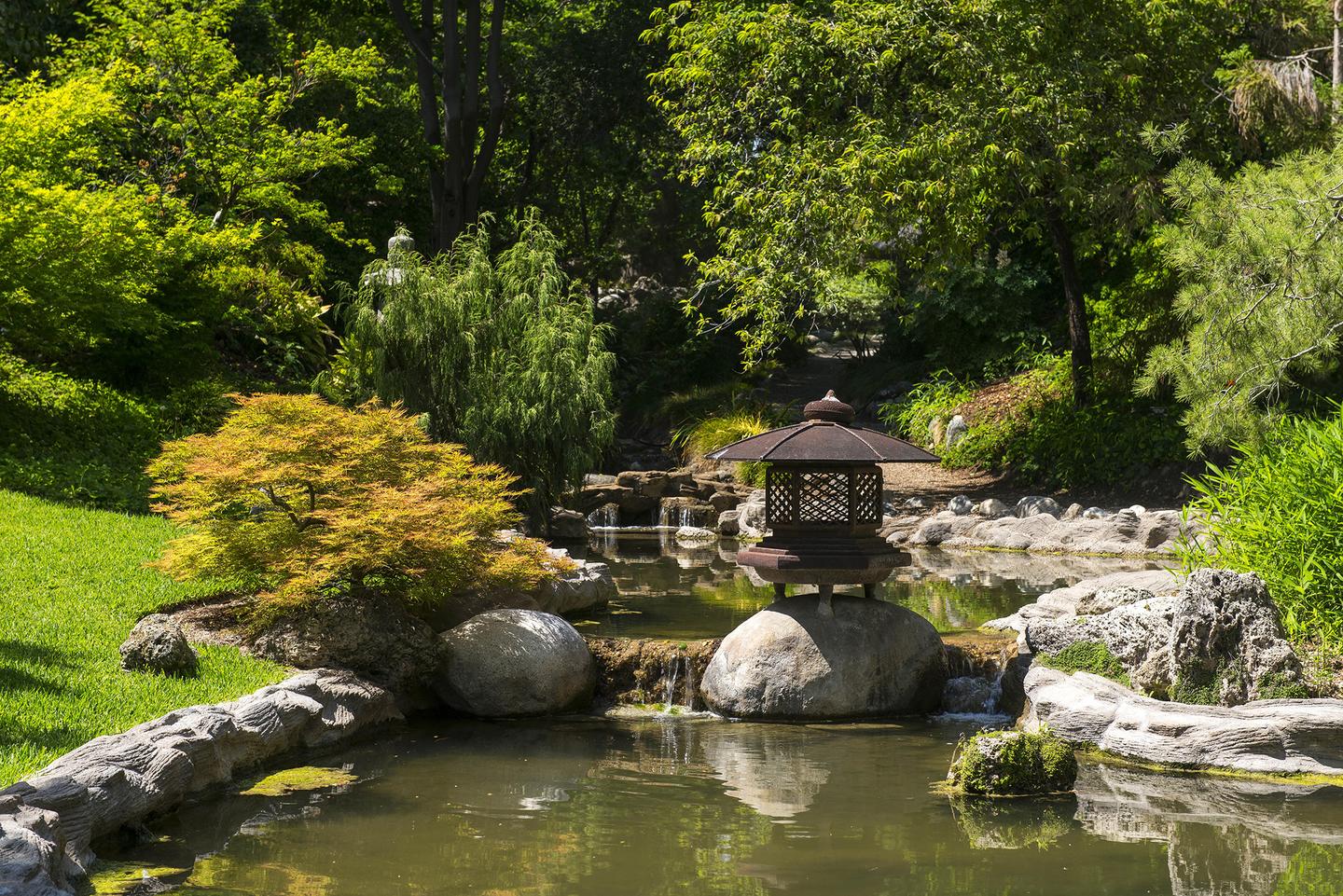 Japanese Gardens at The Huntington Library | Projects & Portfolio ...