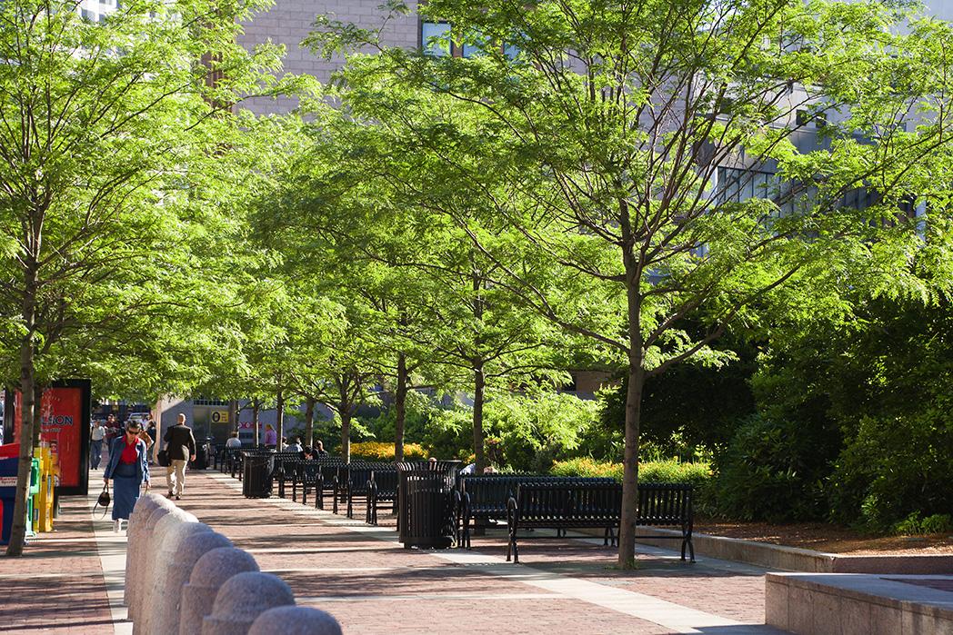 Rose Kennedy Greenway  Projects & Portfolio  BrightView