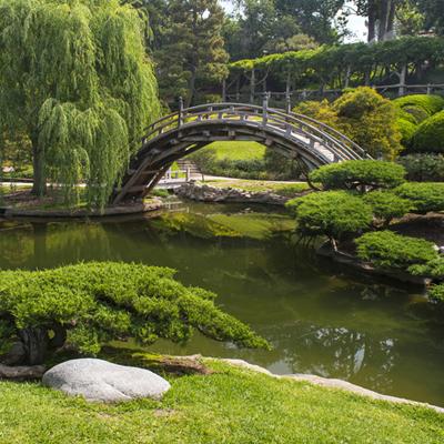 Japanese Gardens at The Huntington Library | Projects & Portfolio ...