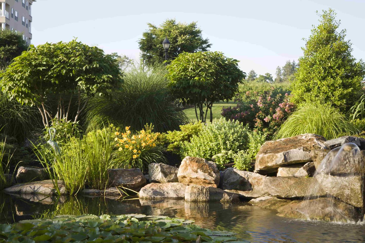 San Jose Ca Landscape Maintenance